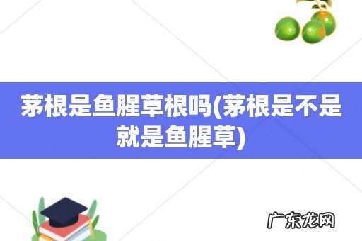 茅根是不是就是鱼腥草 茅根是鱼腥草根吗