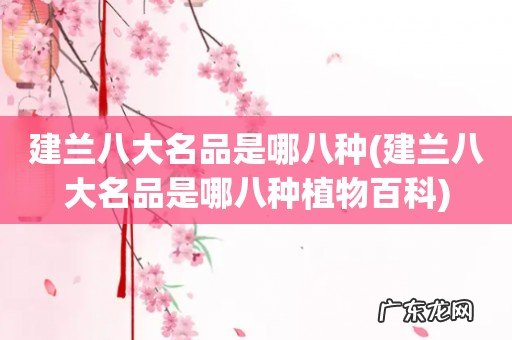 建兰八大名品是哪八种植物百科 建兰八大名品是哪八种