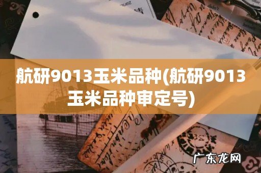 航研9013玉米品种审定号 航研9013玉米品种
