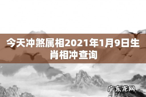 今天冲煞属相2021年1月9日生肖相冲查询