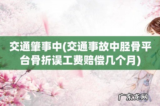 交通事故中胫骨平台骨折误工费赔偿几个月 交通肇事中
