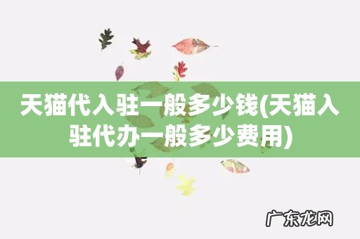 天猫入驻代办一般多少费用 天猫代入驻一般多少钱