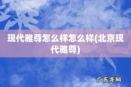 北京现代雅尊 现代雅尊怎么样怎么样