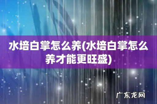 水培白掌怎么养才能更旺盛 水培白掌怎么养