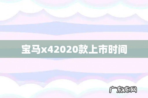 宝马x42020款上市时间
