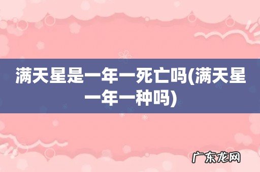 满天星一年一种吗 满天星是一年一死亡吗