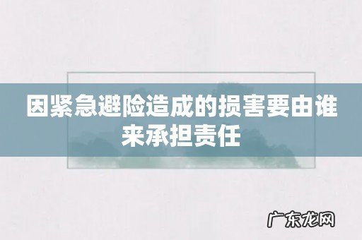 因紧急避险造成的损害要由谁来承担责任