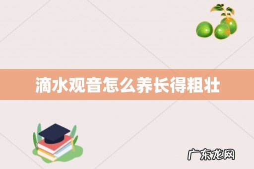 滴水观音怎么养长得粗壮