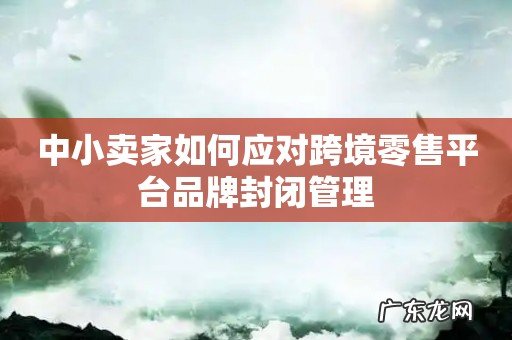 中小卖家如何应对跨境零售平台品牌封闭管理