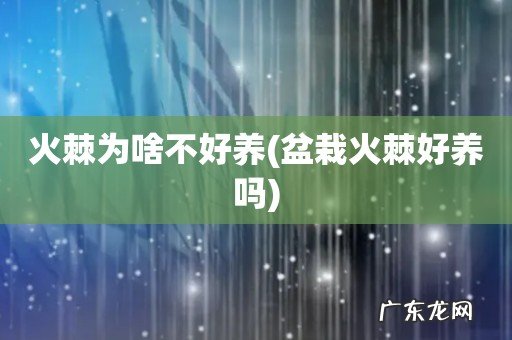 盆栽火棘好养吗 火棘为啥不好养