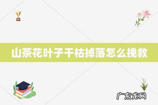 山茶花叶子干枯掉落怎么挽救