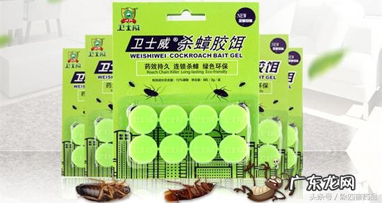 什么蟑螂药效果最好 知乎 最有效的蟑螂药是哪种