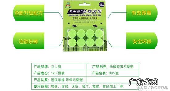 什么蟑螂药效果最好 知乎 最有效的蟑螂药是哪种