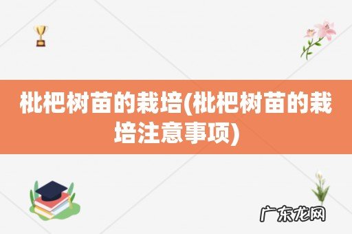 枇杷树苗的栽培注意事项 枇杷树苗的栽培
