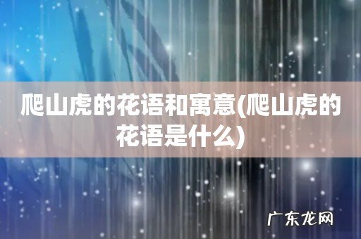 爬山虎的花语是什么 爬山虎的花语和寓意