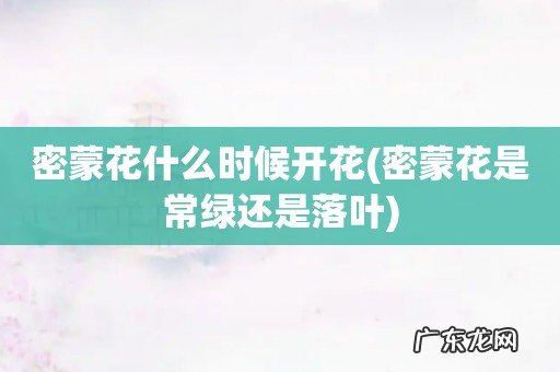 密蒙花是常绿还是落叶 密蒙花什么时候开花