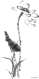 刘绍棠青枝绿叶 状元林召棠风水