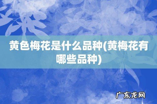 黄梅花有哪些品种 黄色梅花是什么品种