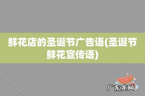 圣诞节鲜花宣传语 鲜花店的圣诞节广告语