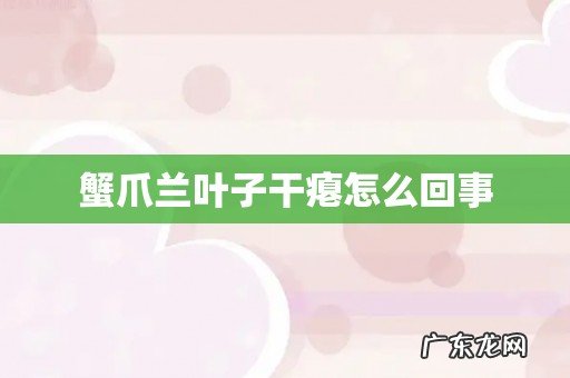 蟹爪兰叶子干瘪怎么回事