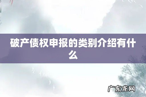 破产债权申报的类别介绍有什么