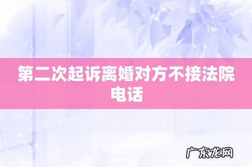 第二次起诉离婚对方不接法院电话