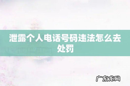 泄露个人电话号码违法怎么去处罚