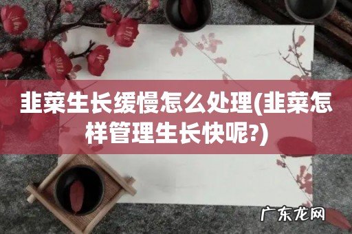 韭菜怎样管理生长快呢? 韭菜生长缓慢怎么处理