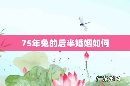 75年兔的后半婚姻如何