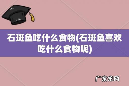 石斑鱼喜欢吃什么食物呢 石斑鱼吃什么食物