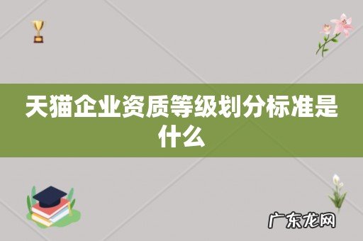 天猫企业资质等级划分标准是什么