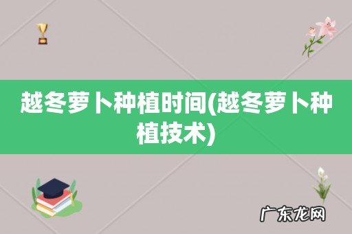 越冬萝卜种植技术 越冬萝卜种植时间