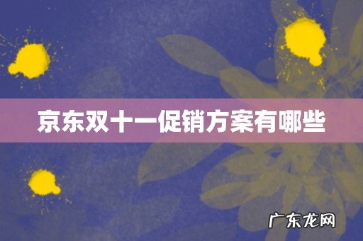 京东双十一促销方案有哪些