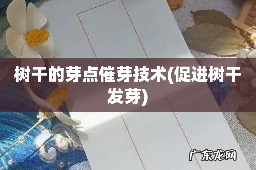 促进树干发芽 树干的芽点催芽技术