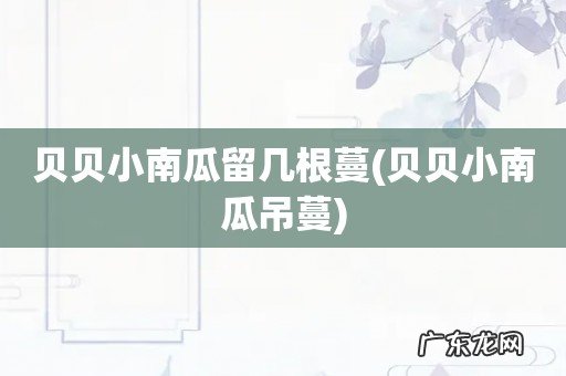 贝贝小南瓜吊蔓 贝贝小南瓜留几根蔓