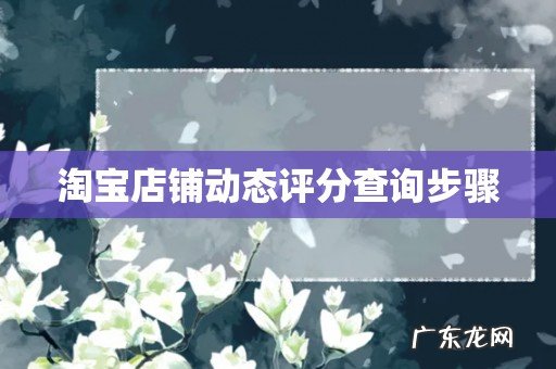 淘宝店铺动态评分查询步骤