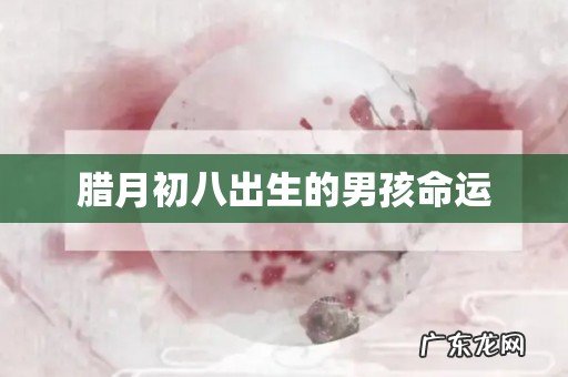 腊月初八出生的男孩命运