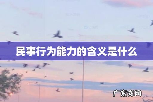 民事行为能力的含义是什么