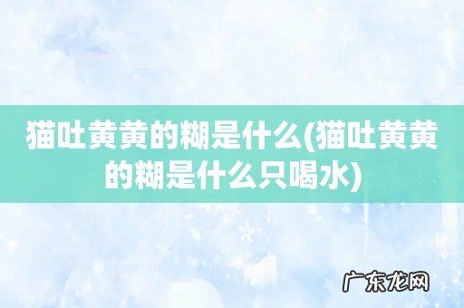 猫吐黄黄的糊是什么只喝水 猫吐黄黄的糊是什么