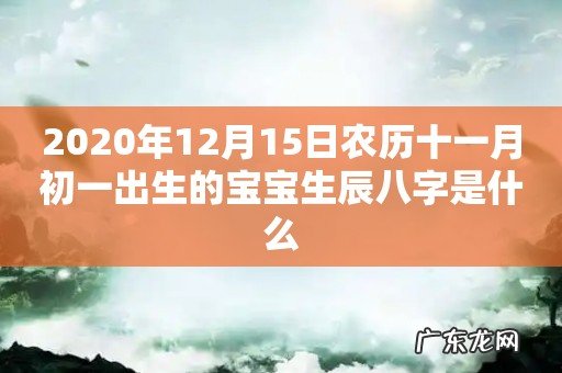 2020年12月15日农历十一月初一出生的宝宝生辰八字是什么