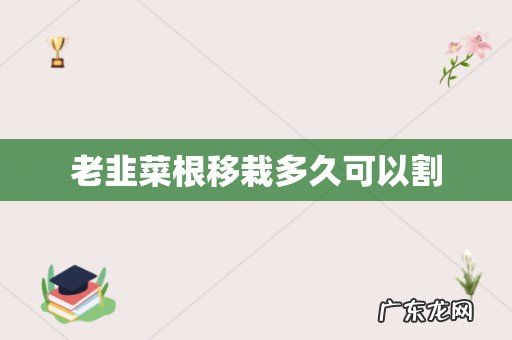 老韭菜根移栽多久可以割