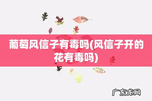 风信子开的花有毒吗 葡萄风信子有毒吗