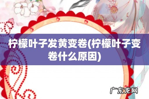 柠檬叶子变卷什么原因 柠檬叶子发黄变卷