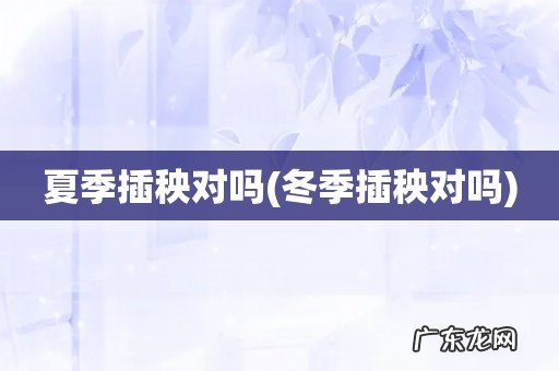 冬季插秧对吗 夏季插秧对吗