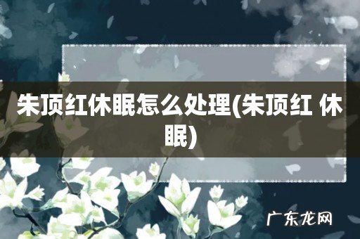 朱顶红 休眠 朱顶红休眠怎么处理