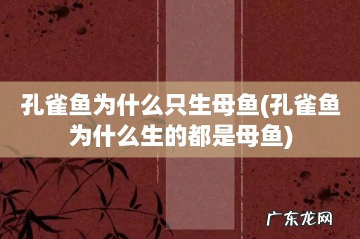 孔雀鱼为什么生的都是母鱼 孔雀鱼为什么只生母鱼