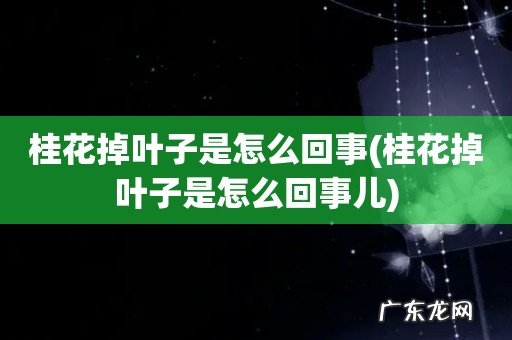桂花掉叶子是怎么回事儿 桂花掉叶子是怎么回事