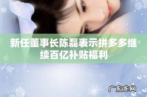 新任董事长陈磊表示拼多多继续百亿补贴福利