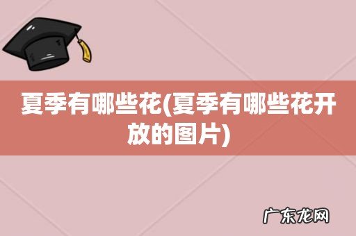 夏季有哪些花开放的图片 夏季有哪些花