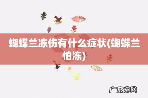 蝴蝶兰怕冻 蝴蝶兰冻伤有什么症状